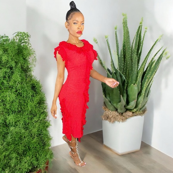 NEW Double Take Red Knit Sleeveless Fringe Sweater Dress - Picture 7 of 17